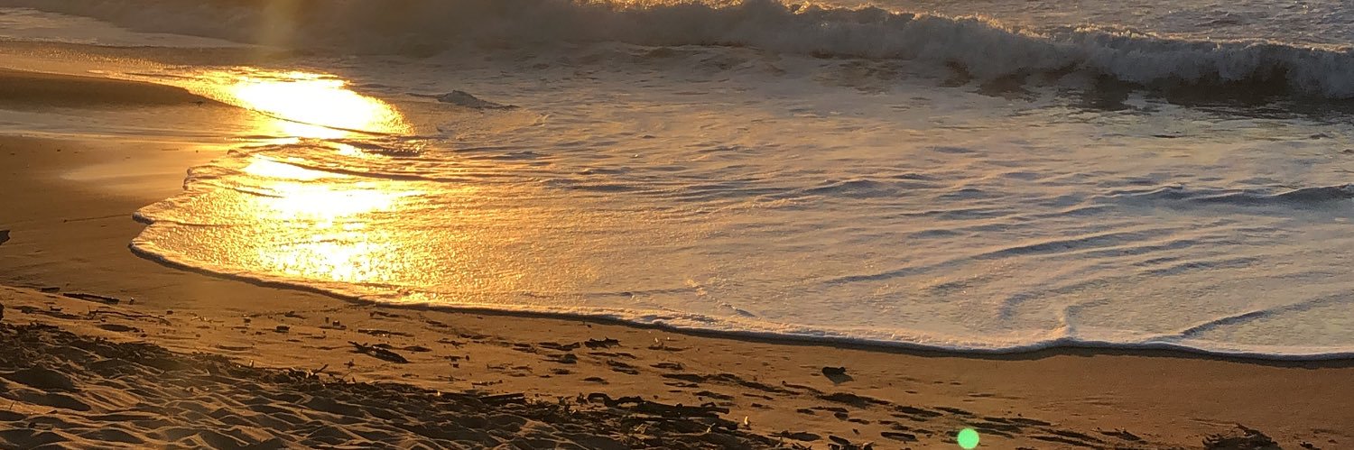MariaCast9's profile banner image