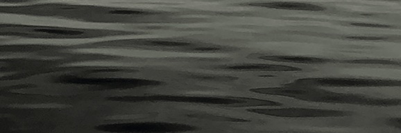 EmmaJeremy's profile banner image