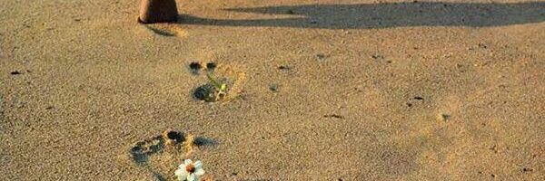 alrahill's profile banner image