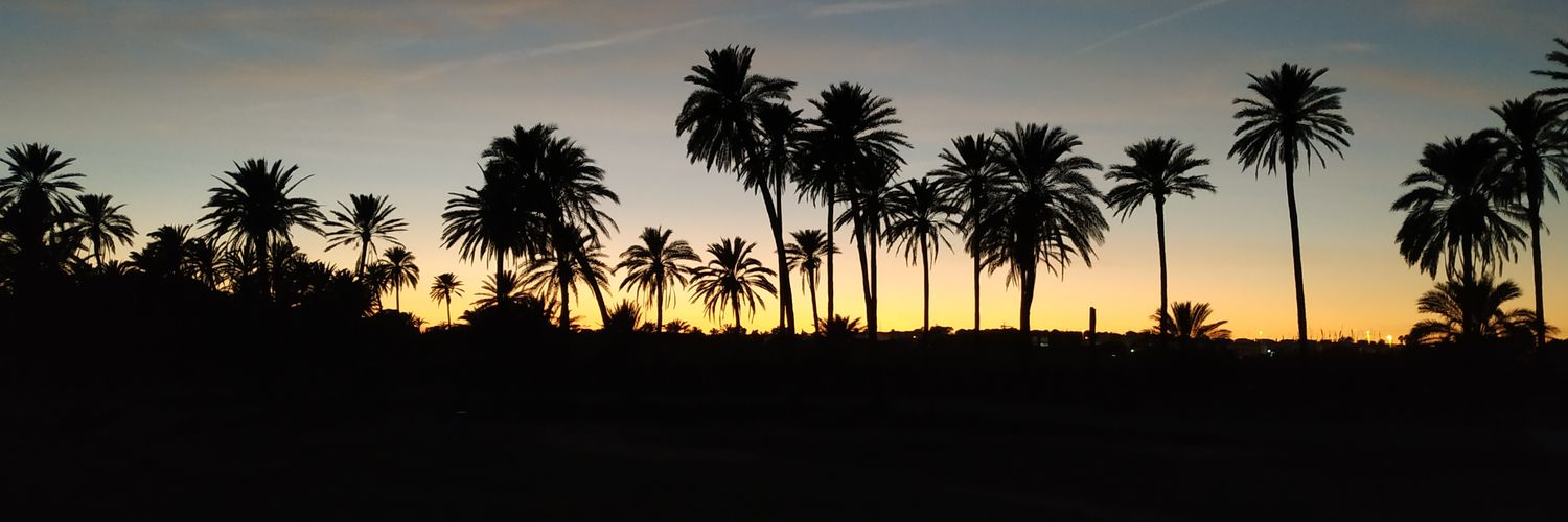 GONARMO's profile banner image