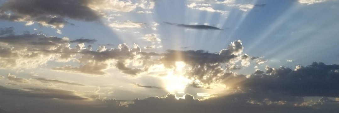 Saruhhdabear's profile banner image
