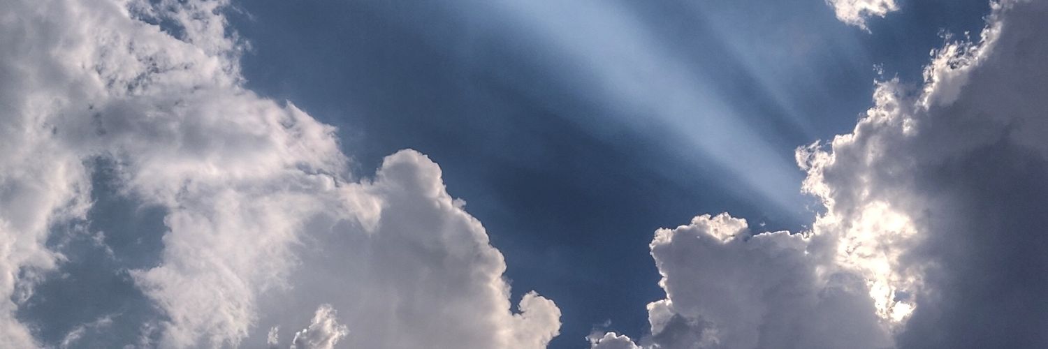 TrivialSapien's profile banner image