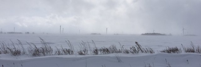PatJohnston18's profile banner image
