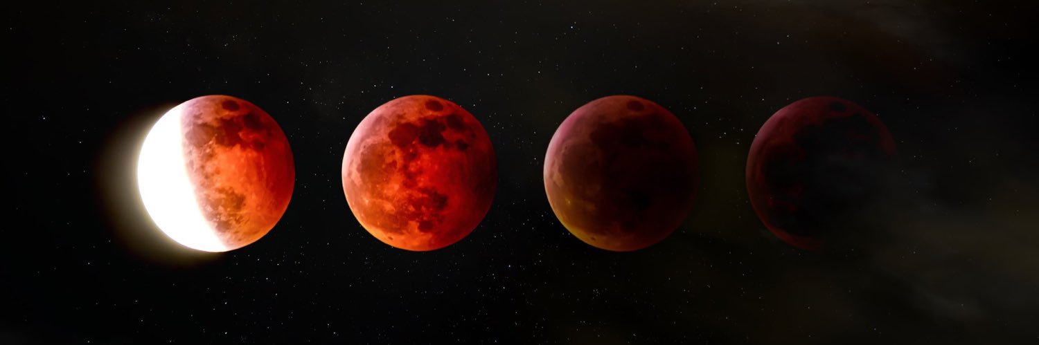 RubyEarpWarrior's profile banner image