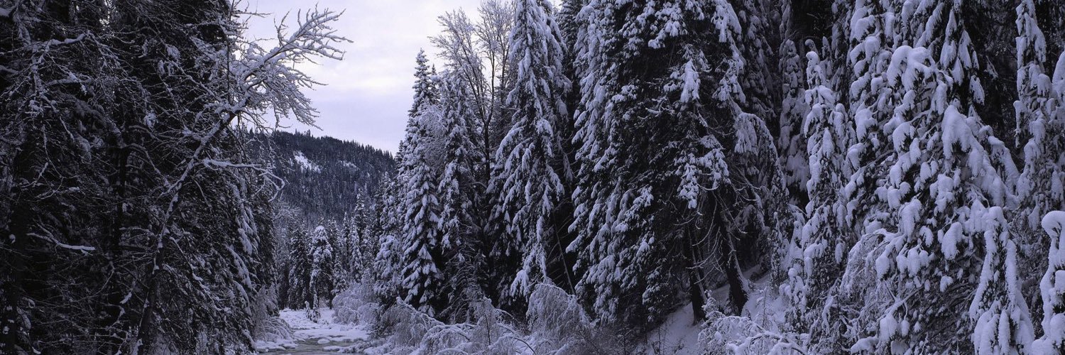 WinterSurvival1's profile banner image