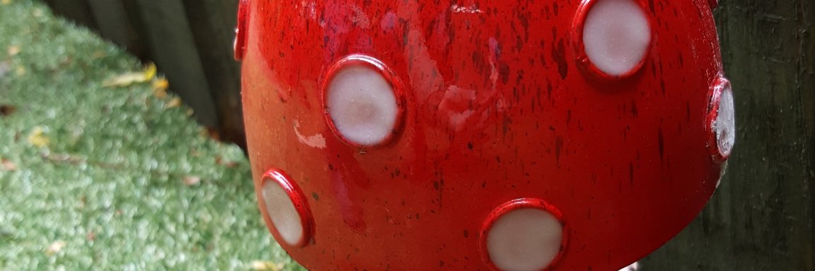 enchantedgrd's profile banner image