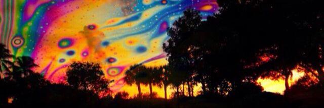 Han_sacchi's profile banner image