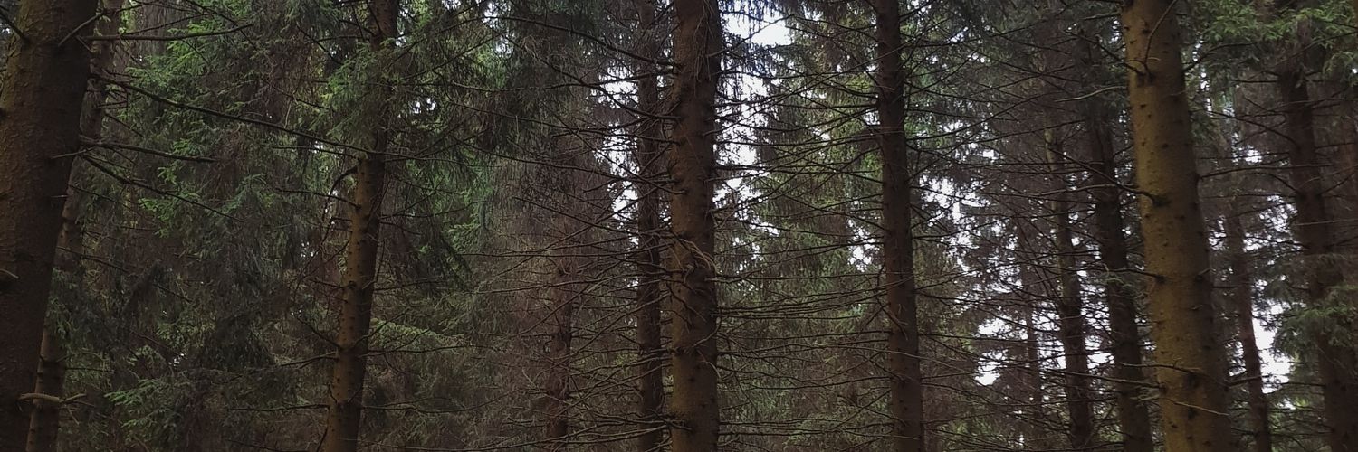 aidarmn's profile banner image