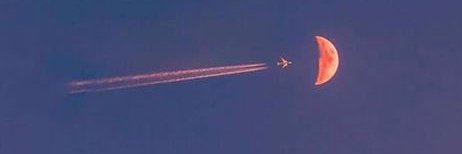 real_man442's profile banner image