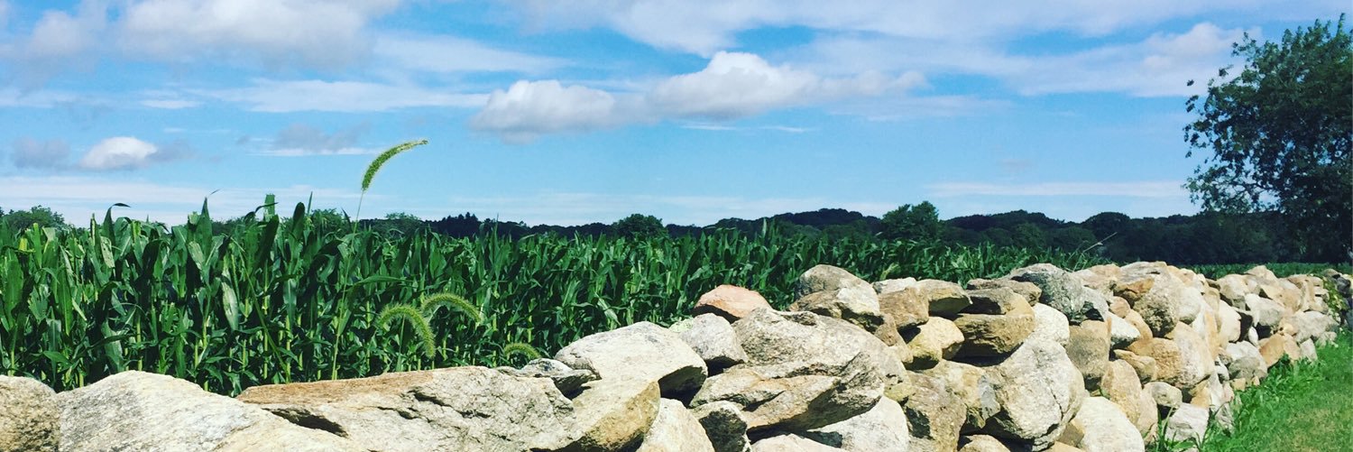 andrewddoan's profile banner image
