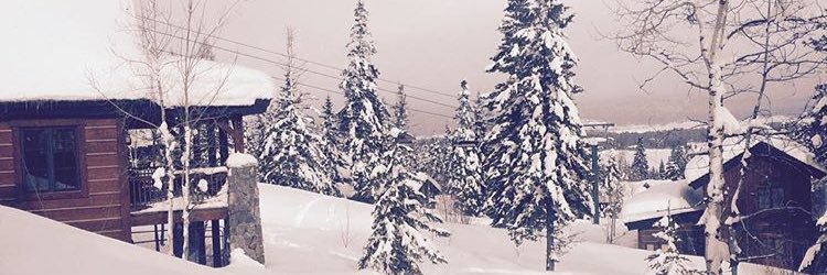 lauridahlberg's profile banner image
