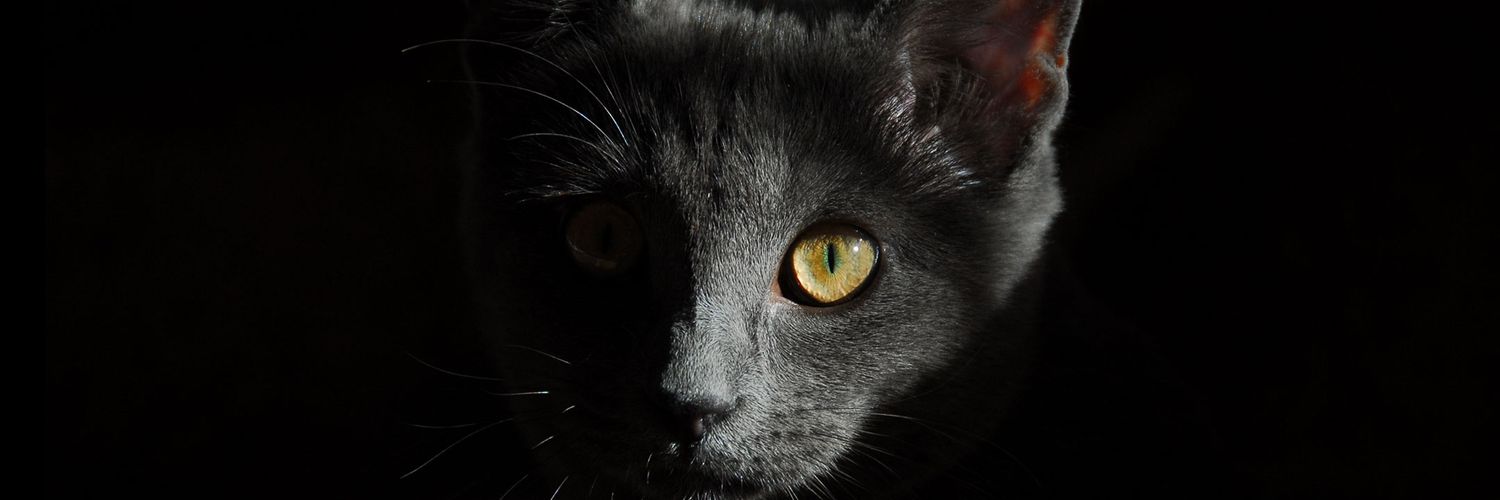 Onionyx_'s profile banner image