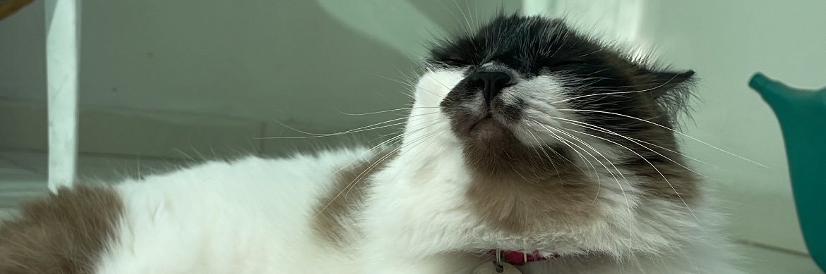lu_ha_ni's profile banner image