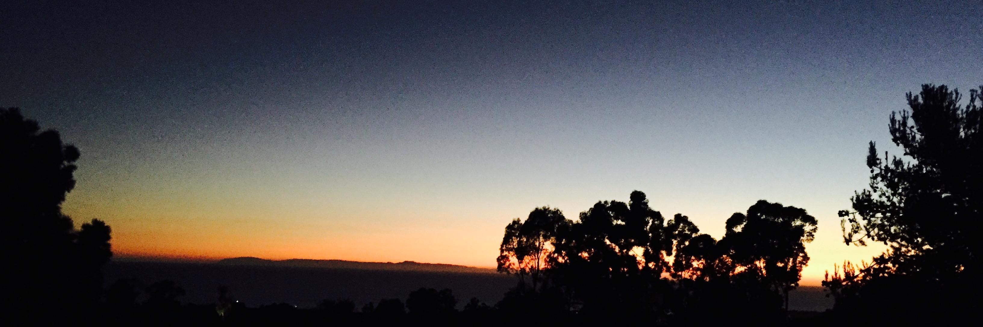 Nancy Lippold-Ingram banner