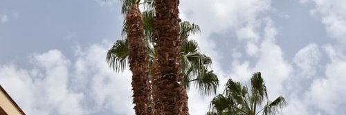 KleinLangs's profile banner image