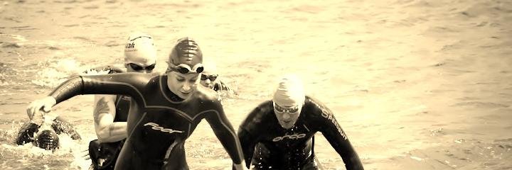 Rose McGovern banner