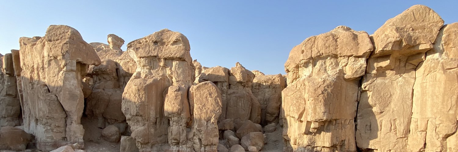 ناصر بوعامر banner