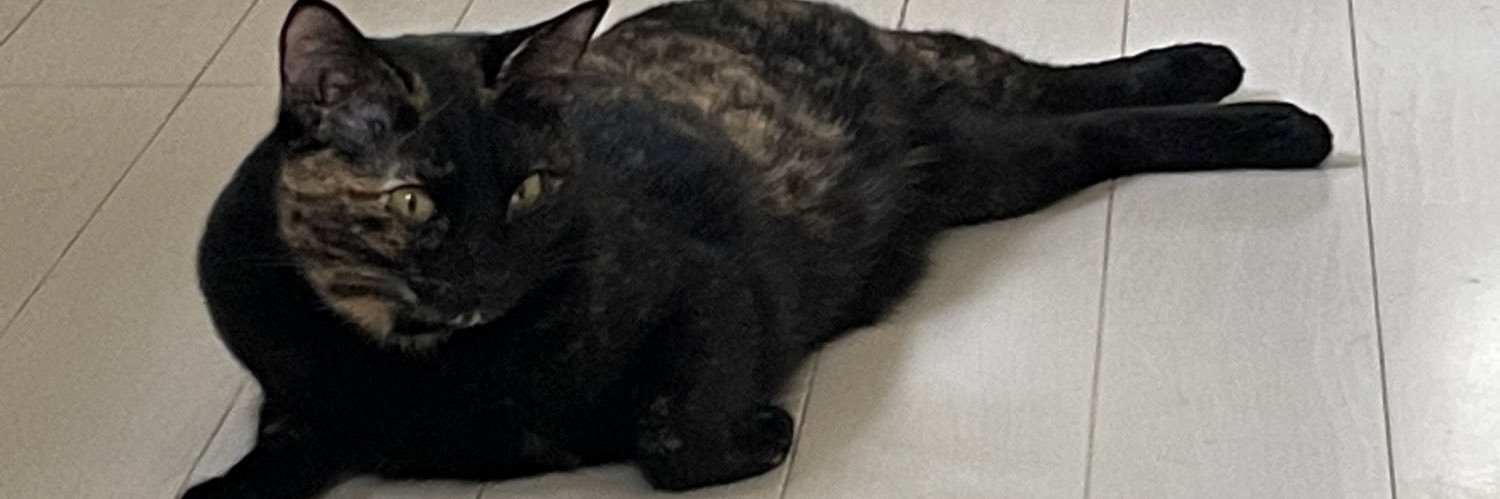 misa_sak's profile banner image