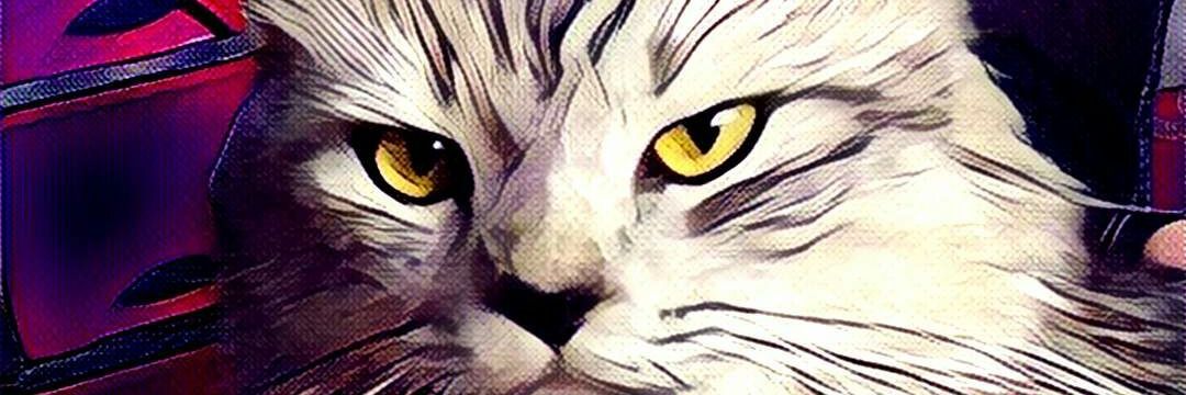 ISyafan's profile banner image
