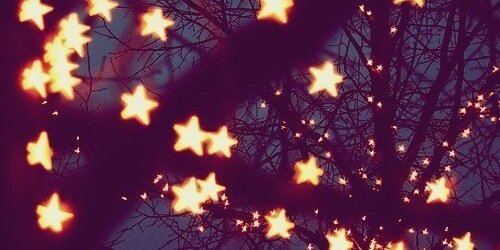 Ilke Coetzer banner