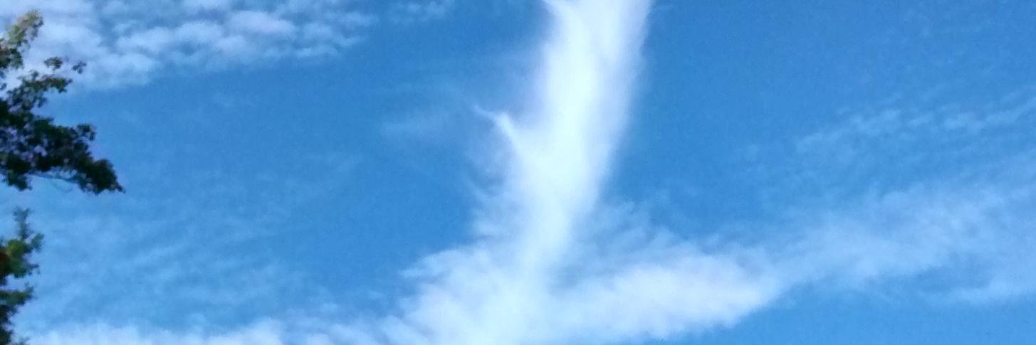 Michelle McLeod banner