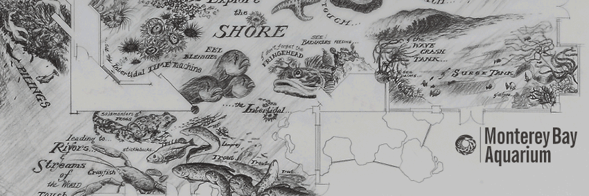 S3HcurryS's profile banner image