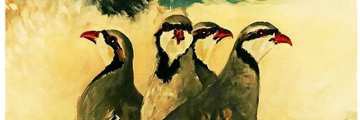 bablisooook's profile banner image