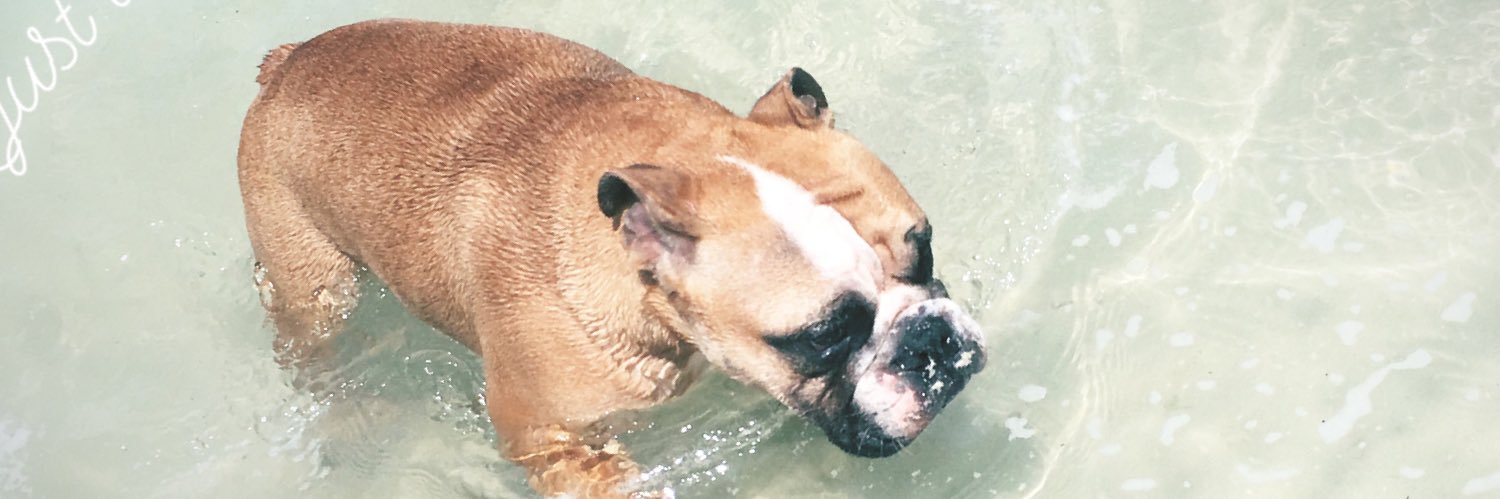 Lxdillon's profile banner image