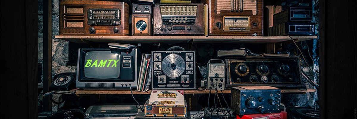 Tᴇxᴀɴ Bʟᴀᴋᴇ Mᴀᴜʟᴅɪɴ banner