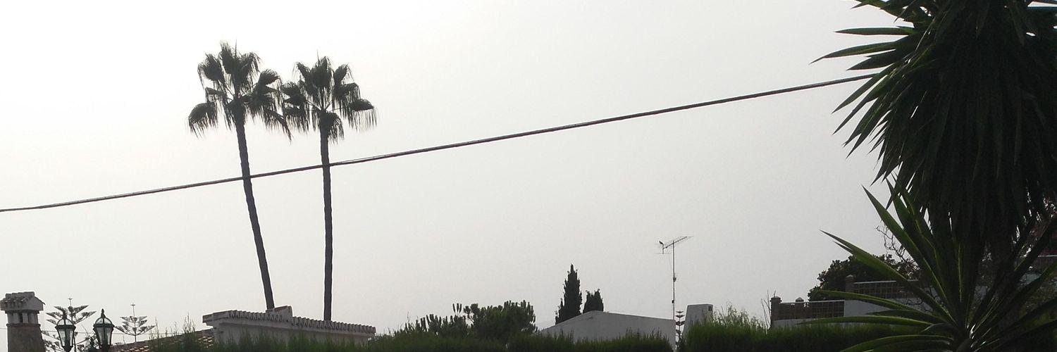 eduulupi's profile banner image