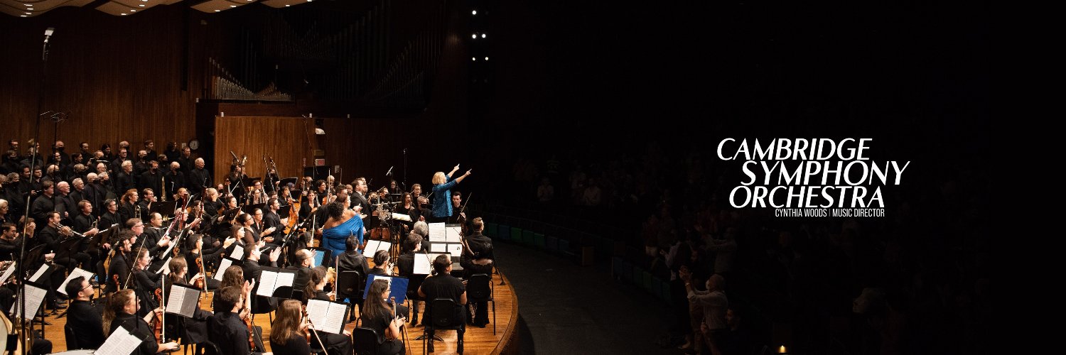 CSO_Tweets's profile banner image