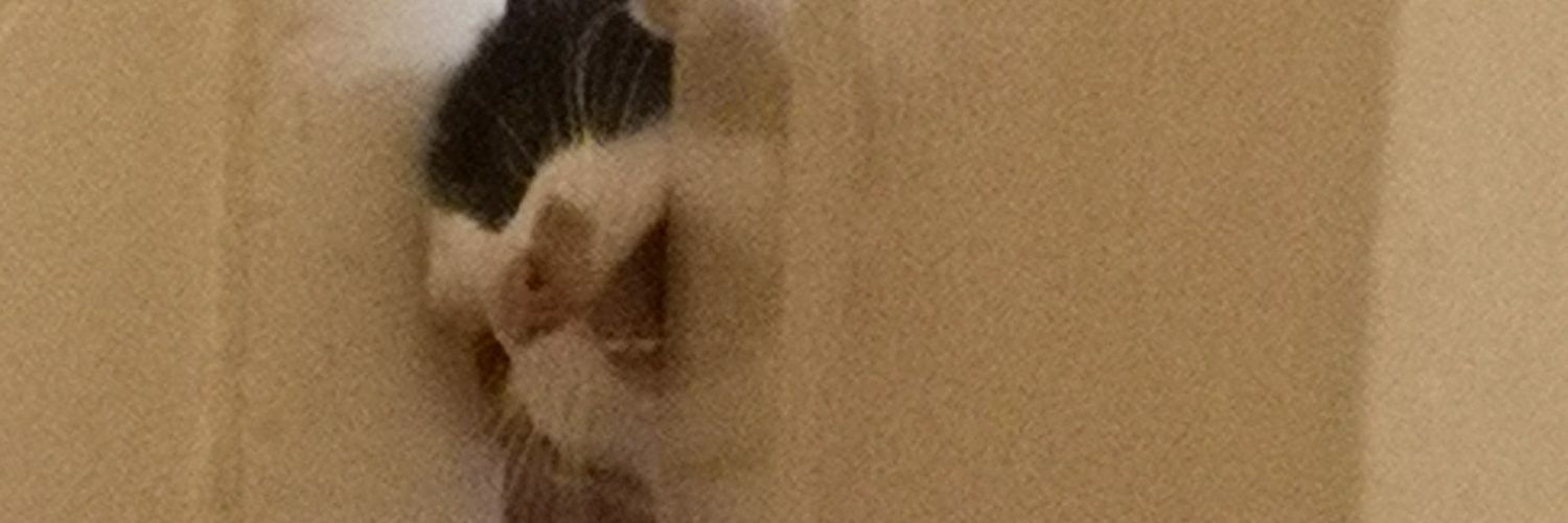 ToxicWotsit's profile banner image
