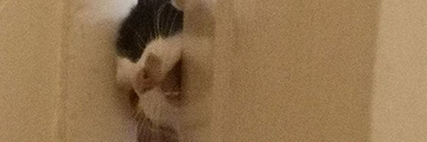 ToxicWotsit Profile Banner