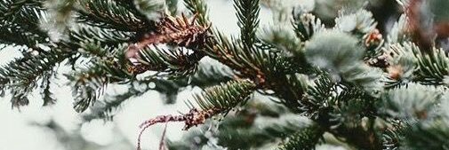 specialkcarr's profile banner image