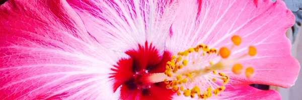 Jane_Fri Profile Banner