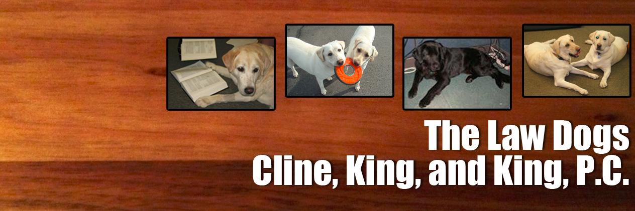 CKKLawDogs's profile banner image