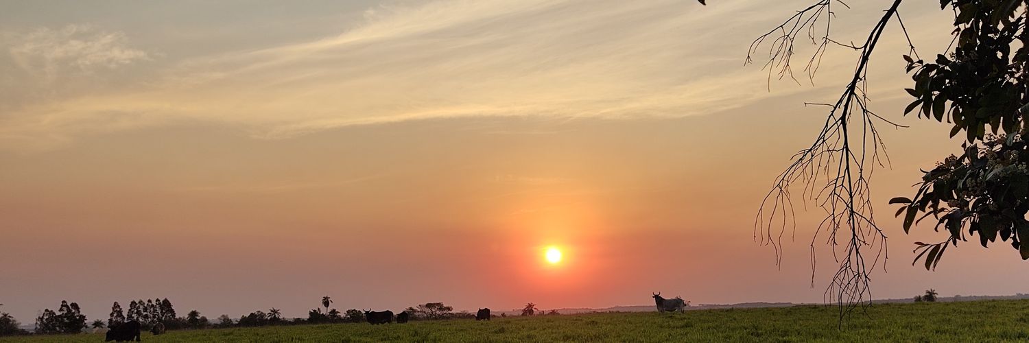 RodriLedesma93's profile banner image