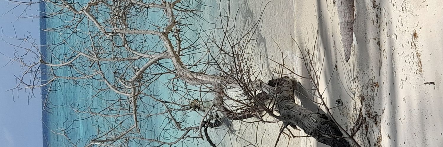marlon_evarts's profile banner image
