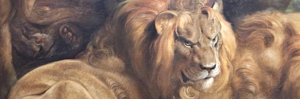 Peter De Wilde banner