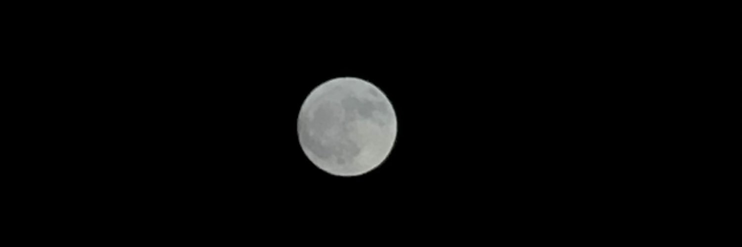 daviniasamarin's profile banner image