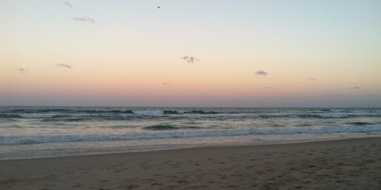 nataliee_silva's profile banner image