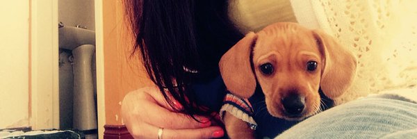 BelSpirit1804 Profile Banner