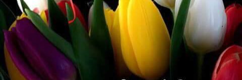 krdeepak180_dk's profile banner image
