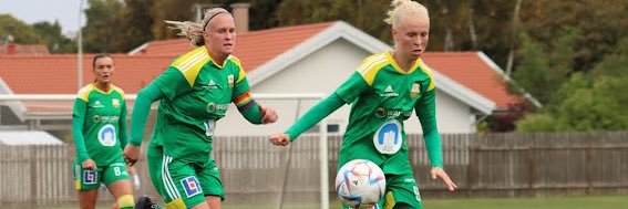 AmandaRosengren's profile banner image