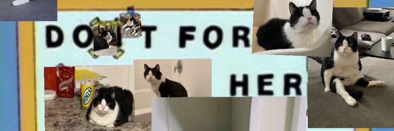 bogleo_'s profile banner image