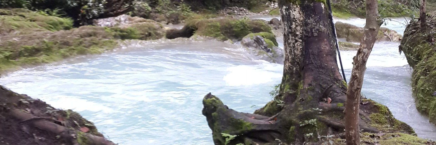 Andreamg08's profile banner image