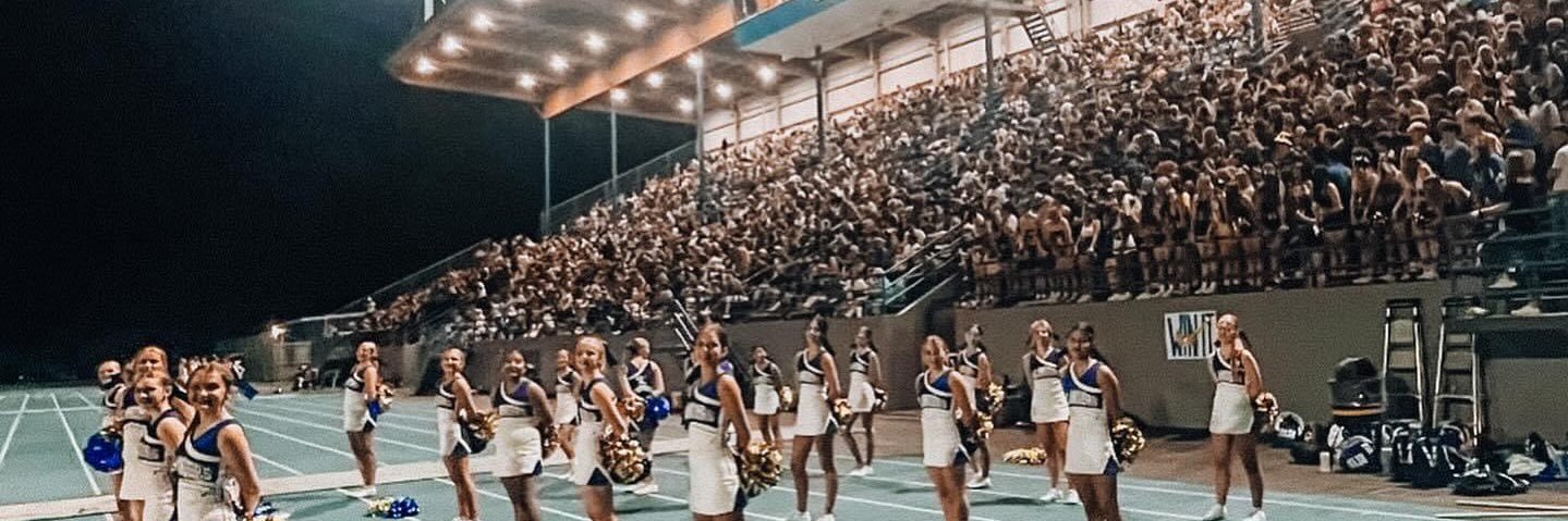 Andrew Johnson banner