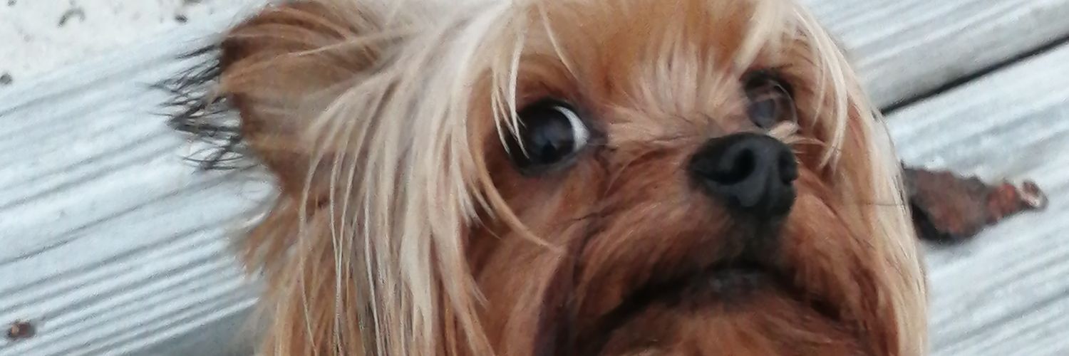 Divastouch5's profile banner image