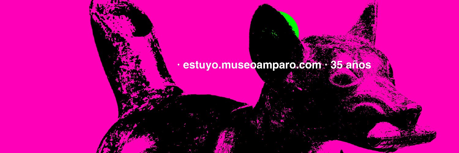 Museo Amparo banner
