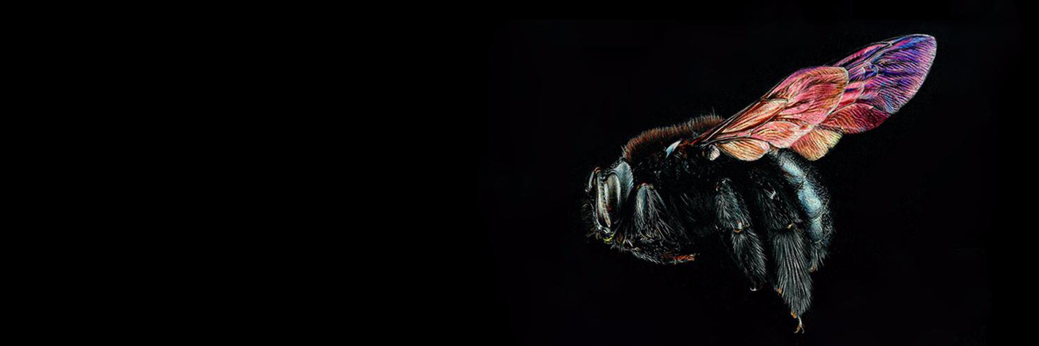 electric_hive's profile banner image